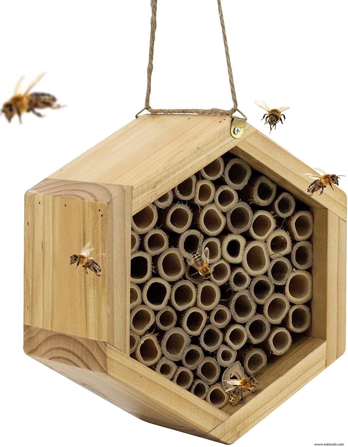 Ayuda a uno de tus polinizadores favoritos a prosperar con una adorable casa de abejas 