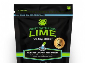 5 Repelentes Naturales de Insectos Aprobados por la Naturaleza