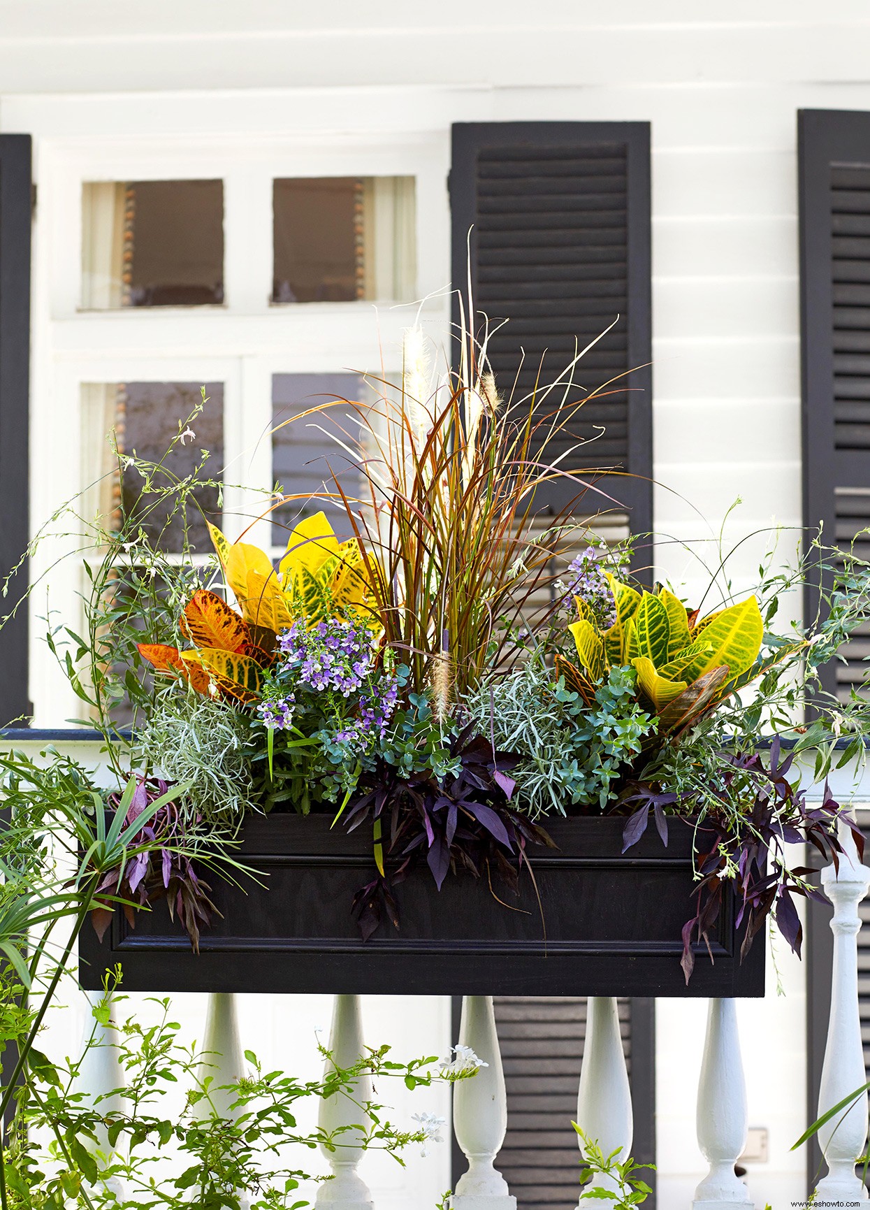 Cómo plantar una jardinera como un profesional 