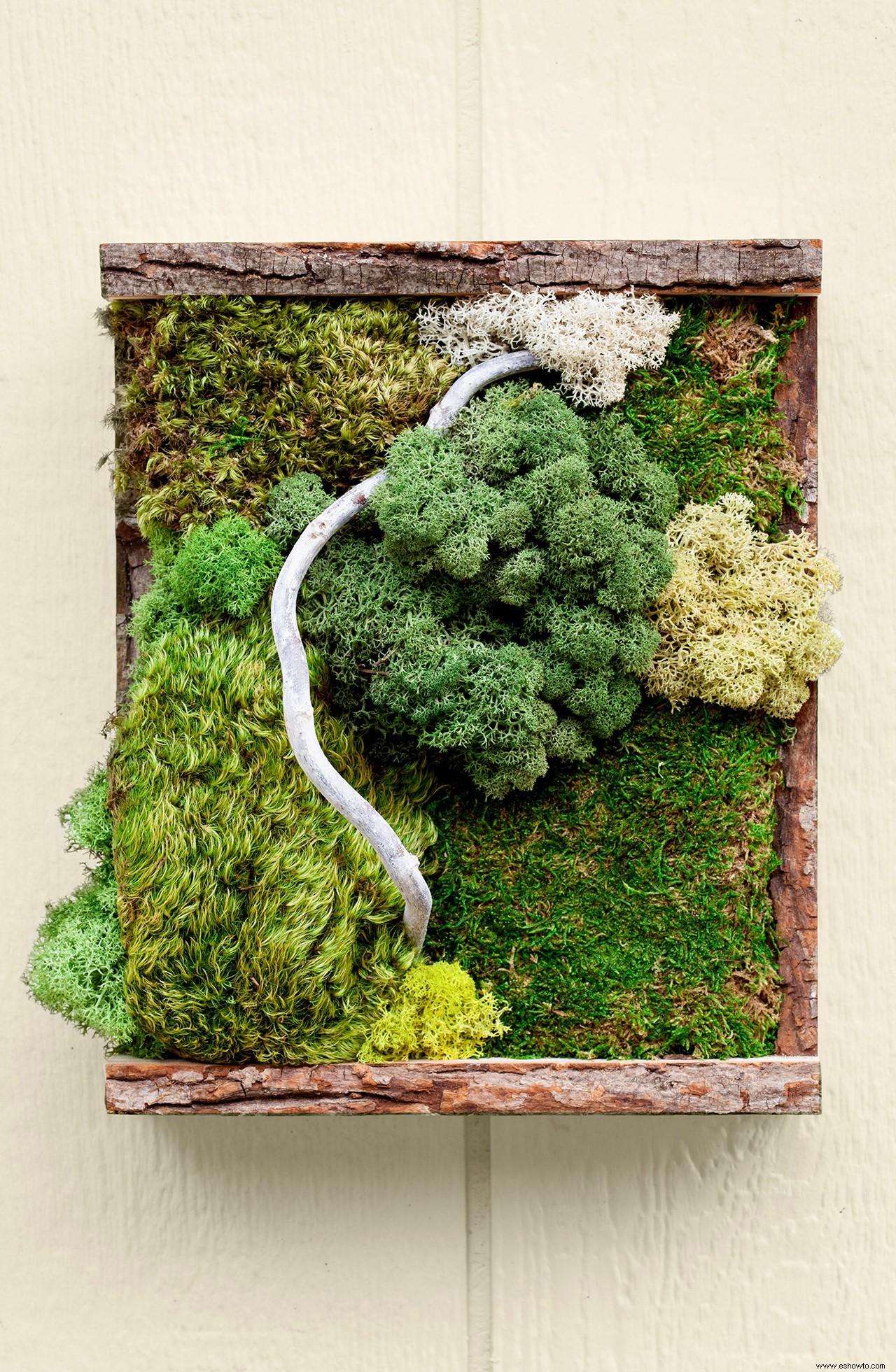 Este arte de pared de musgo conservado por bricolaje agregará vegetación a sus interiores 