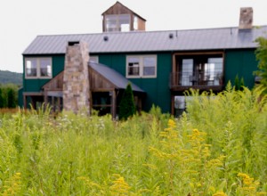 8 beneficios sorprendentes de segar el césped con menos frecuencia