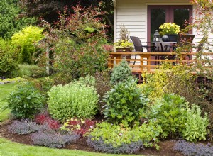 Guía paso a paso: Cómo hacer paisajismo alrededor de tu terraza de patio trasero para un jardín impresionante