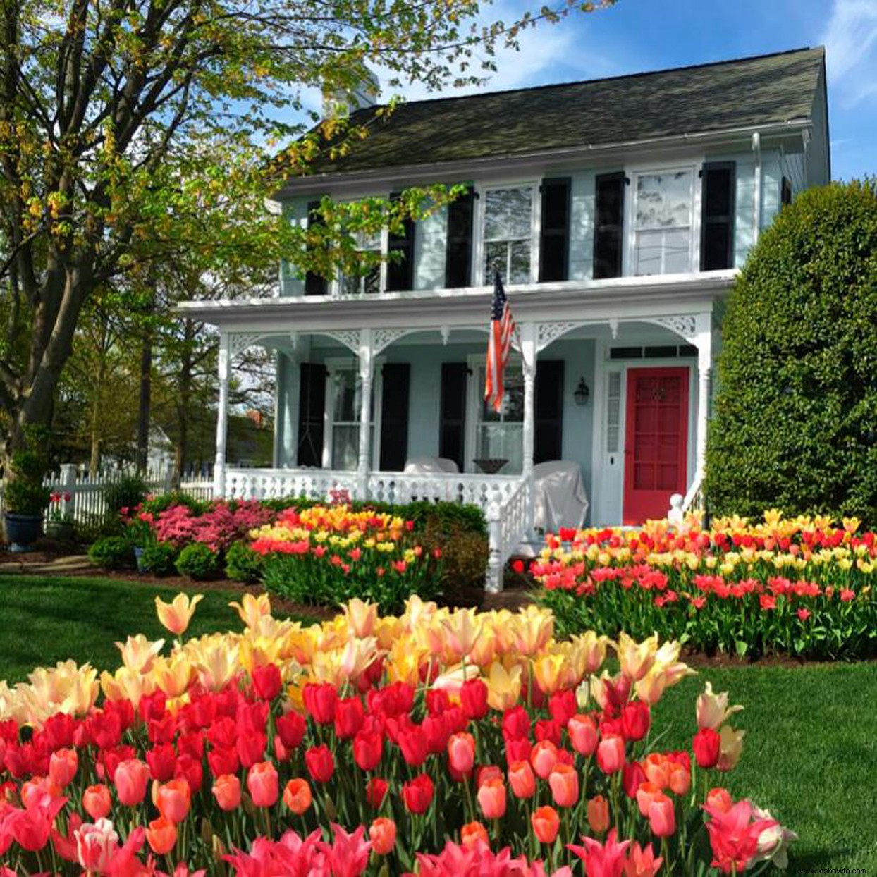 Estos jardines de la vida real nos impresionaron como finalistas de Americas Best Front Yard 