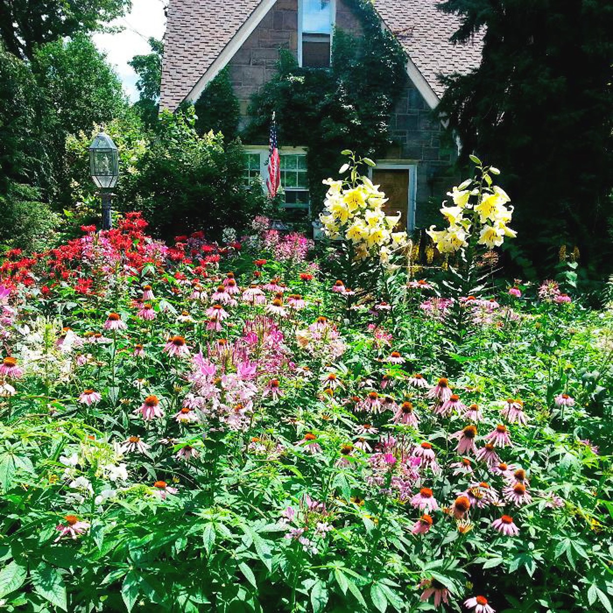 Estos jardines de la vida real nos impresionaron como finalistas de Americas Best Front Yard 