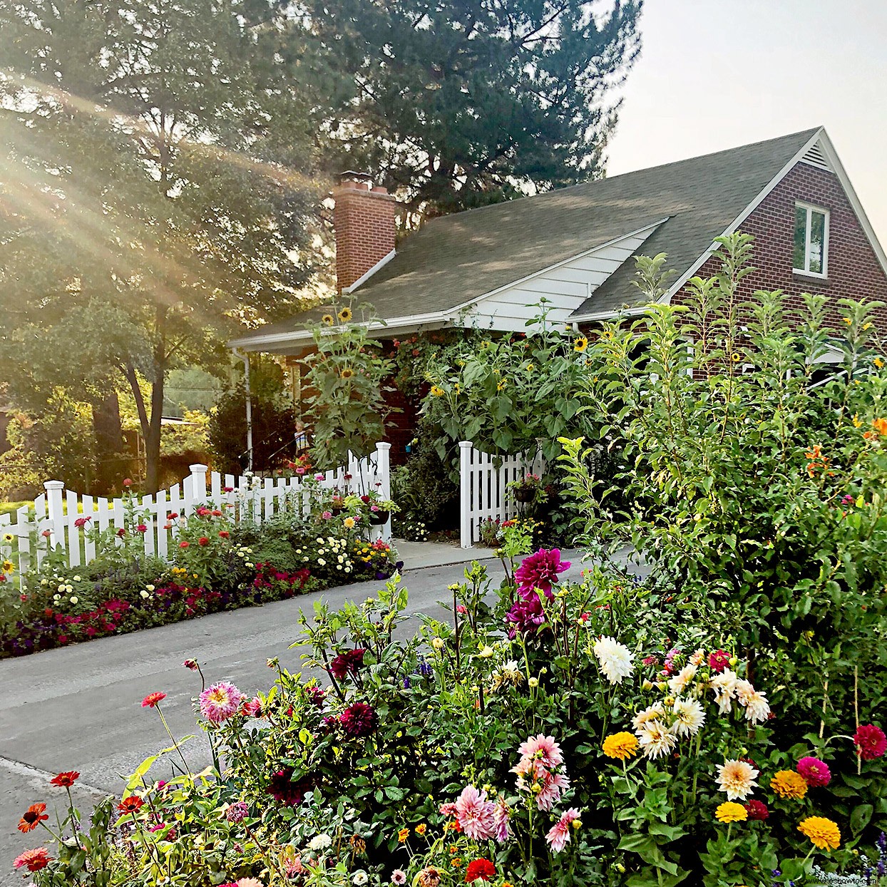 Estos jardines de la vida real nos impresionaron como finalistas de Americas Best Front Yard 