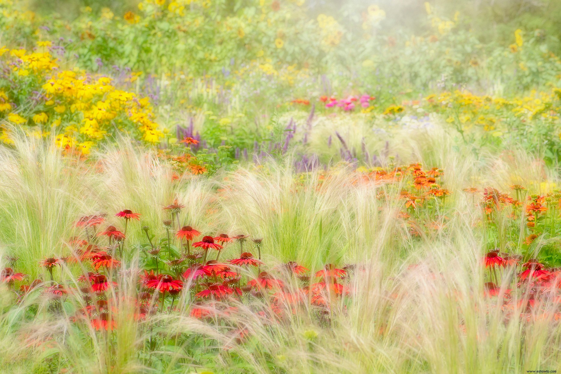 Estas galardonadas fotos de jardines son el escape pacífico que todos necesitamos en este momento 