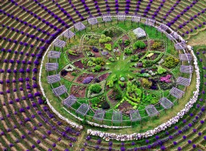 Descubre el laberinto de lavanda de Cherry Point Farm en Michigan: un imprescindible para tu lista de viajes de verano