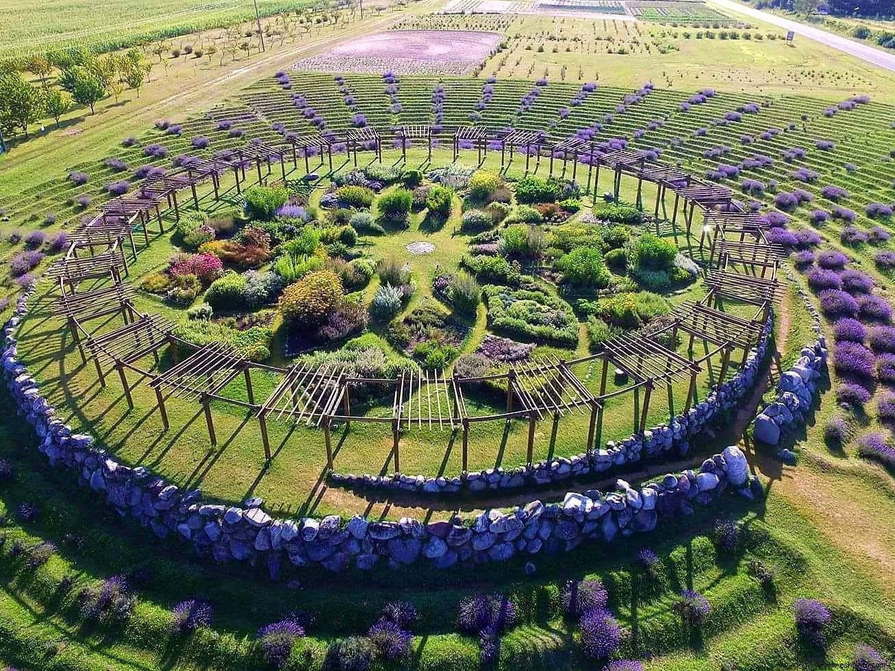 Este laberinto de lavanda en Michigan merece un lugar en su lista de deseos 