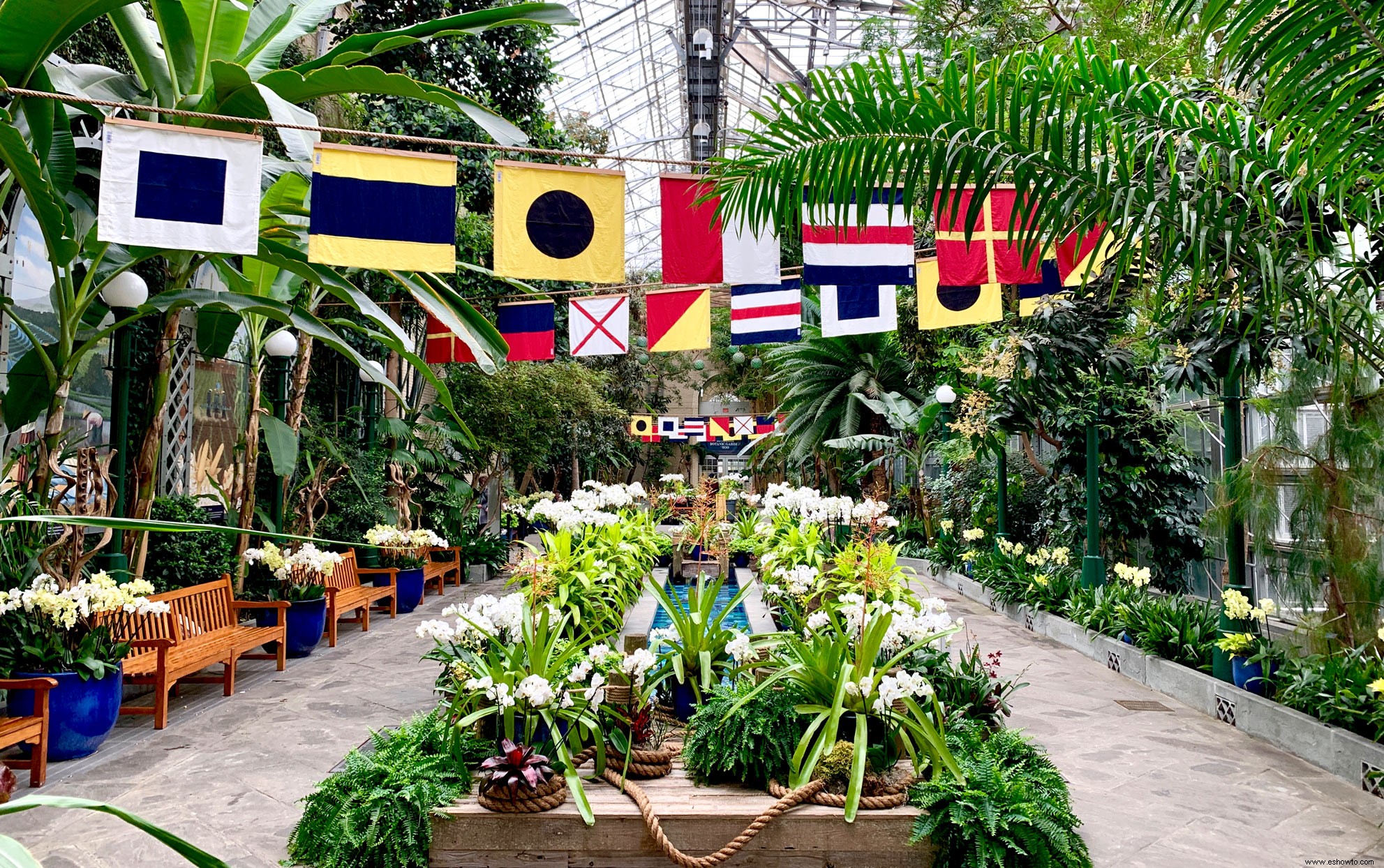 Una extravagancia de orquídeas está floreciendo en el Jardín Botánico de EE. UU. ahora mismo 