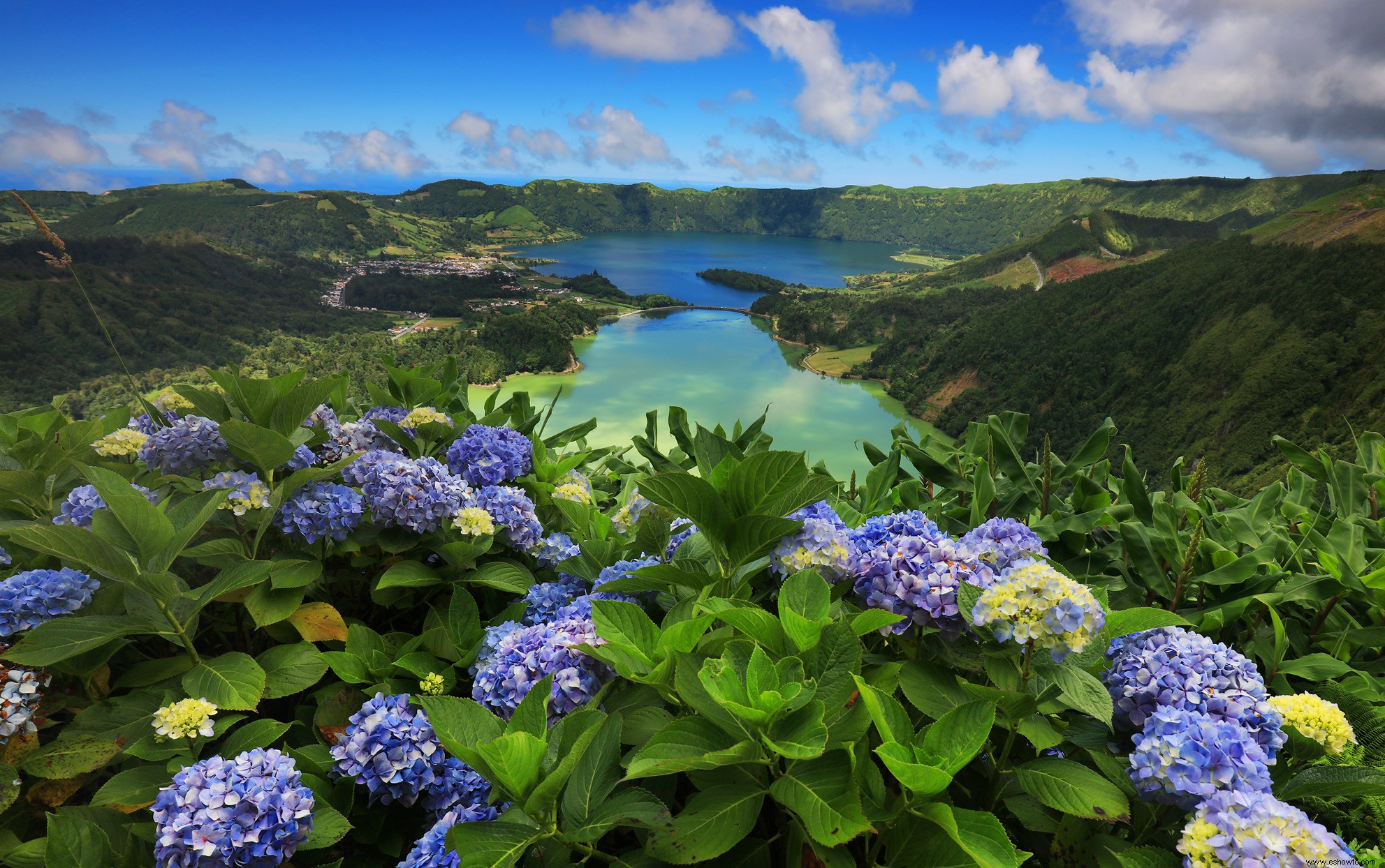 Esta isla volcánica tiene algunas de las hortensias más hermosas del mundo 