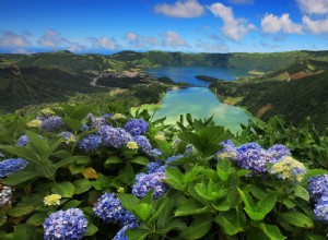 Faial, la Isla Azul de las Azores: Hogar de las Hortensias Más Espectaculares del Mundo