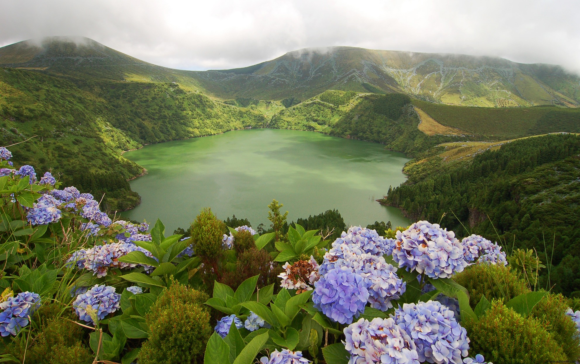 Esta isla volcánica tiene algunas de las hortensias más hermosas del mundo 