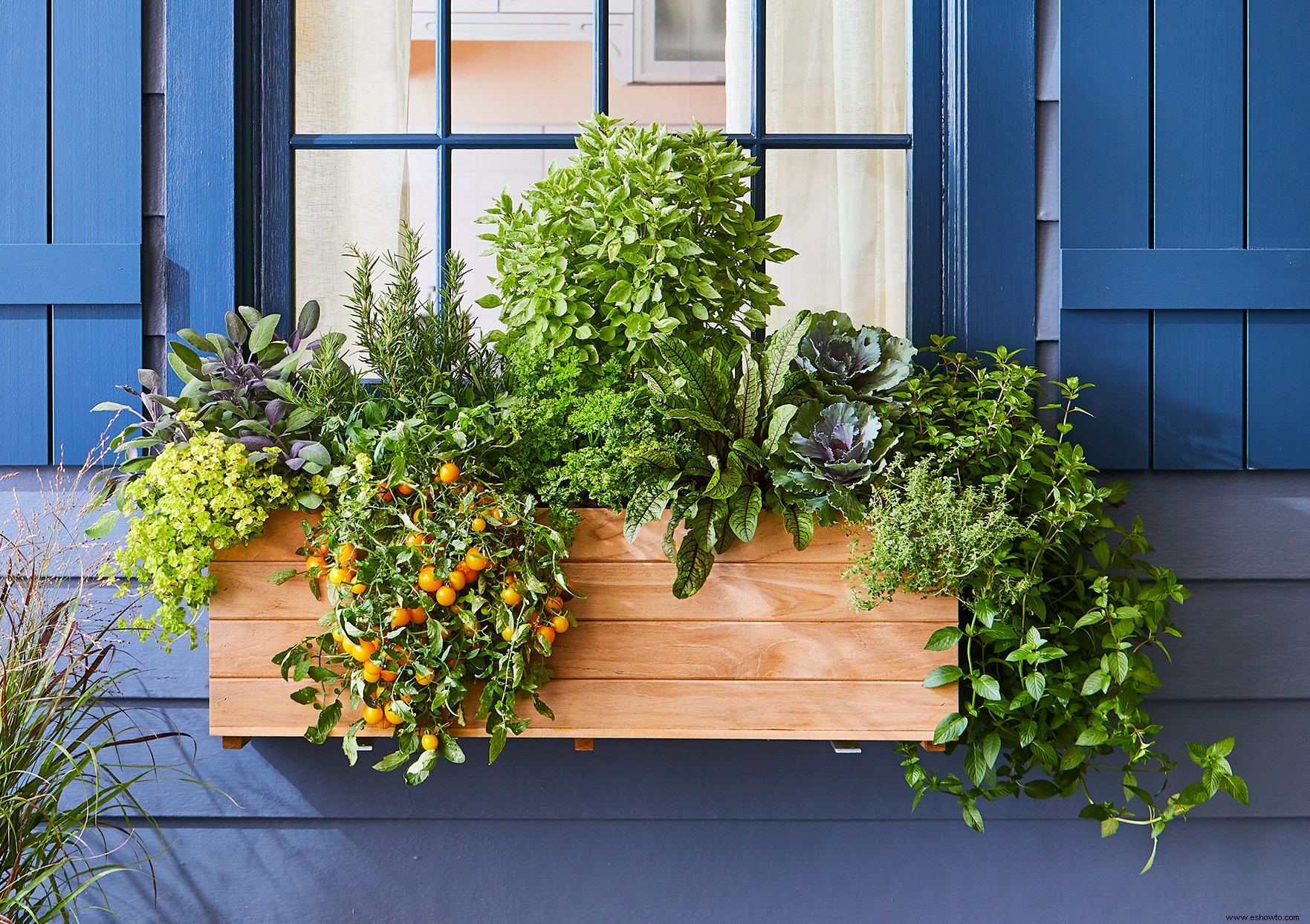 Este plan de ventana le proporcionará verduras y hierbas frescas este verano 