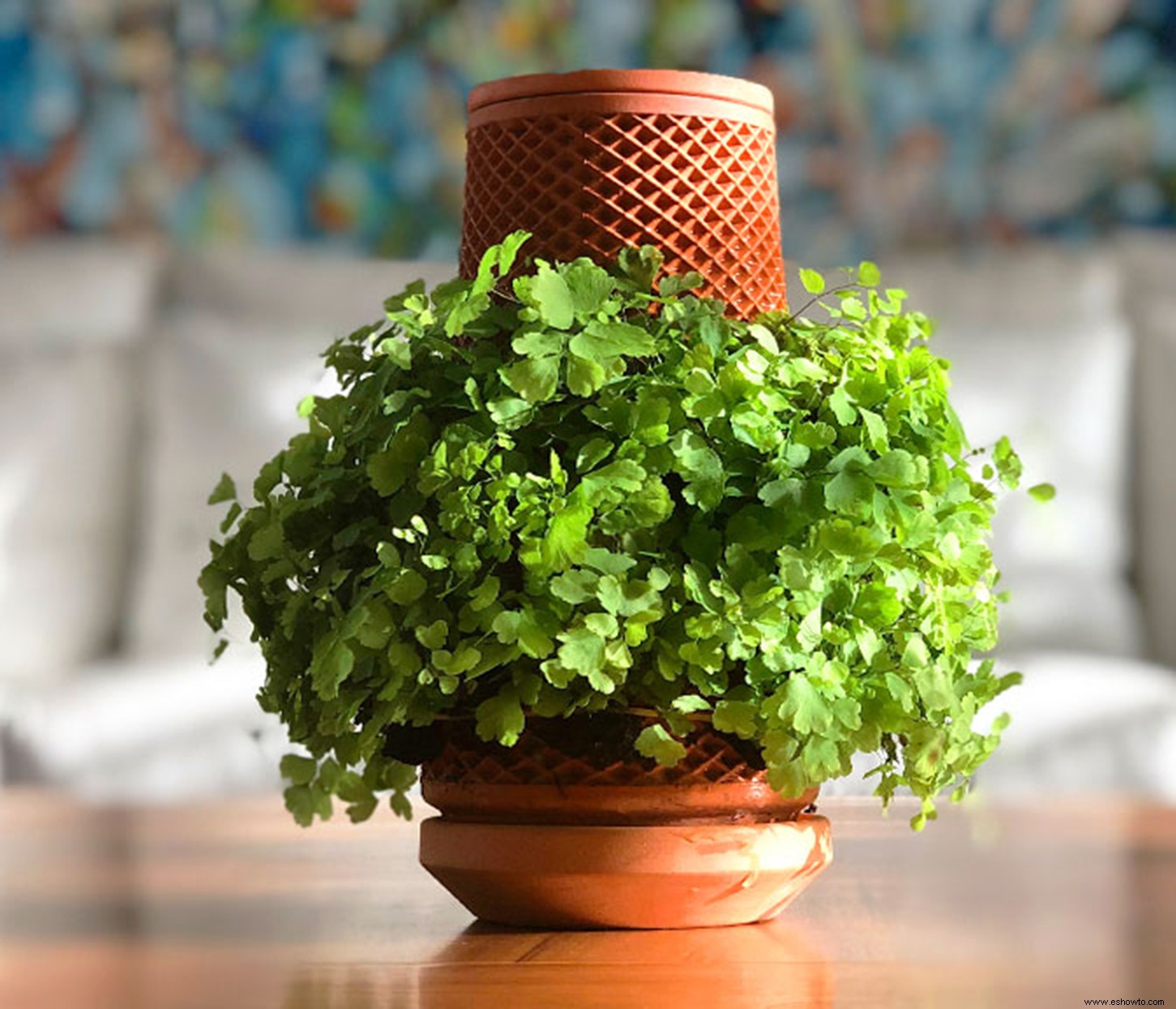 Esta nueva maceta de adentro hacia afuera hace que sea imposible regar en exceso sus plantas de interior 