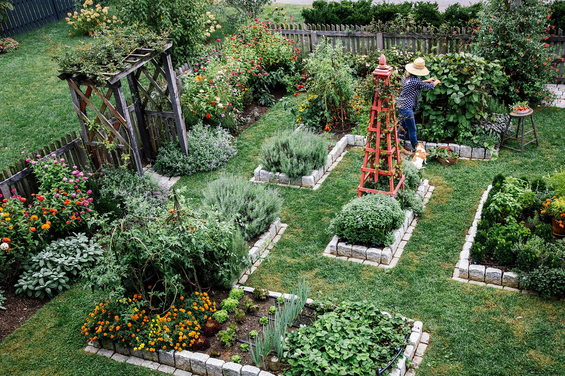 Plantar un jardín de la victoria puede ayudar a combatir el calentamiento global 