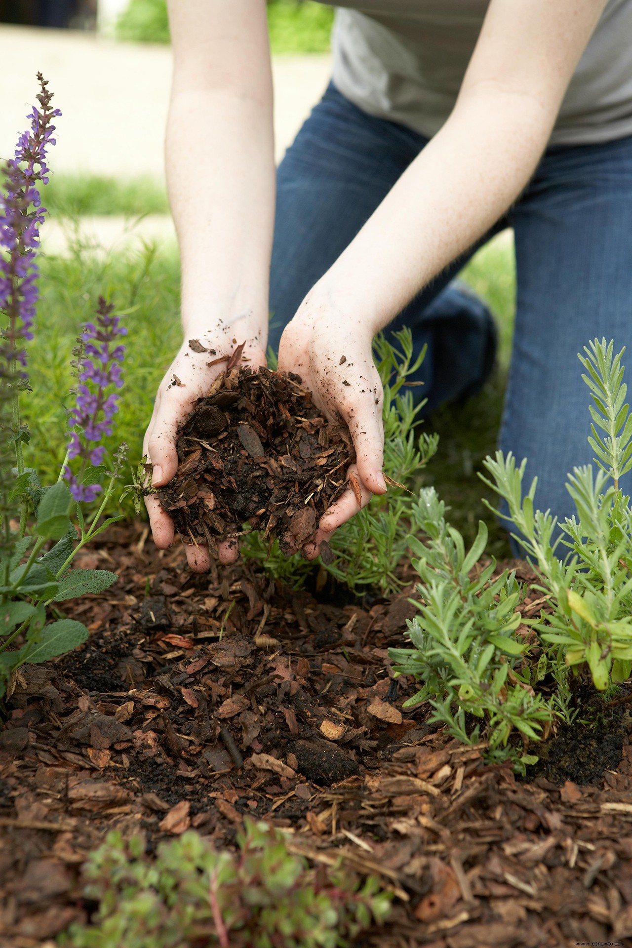 Estos 3 errores comunes de jardinería causan daño al medio ambiente, dicen los expertos 