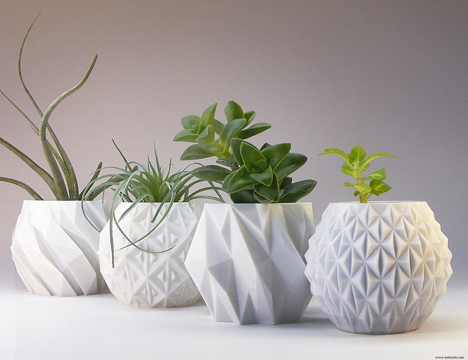 Convierte tus plantas de interior en piezas de arte emocionantes con estas macetas impresas en 3D 