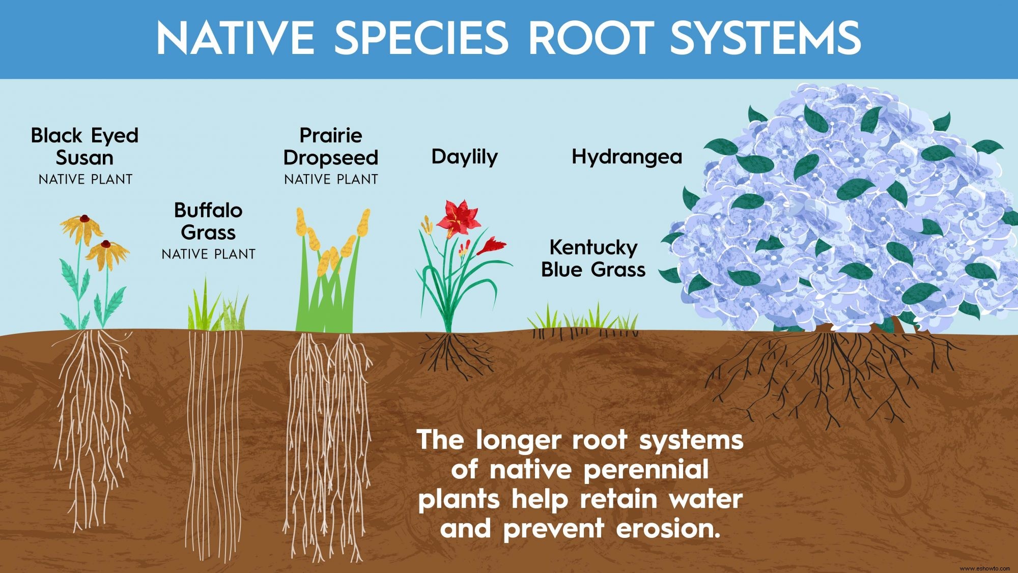 Estas plantas resistentes pueden con casi cualquier cosa que la naturaleza les arroje 