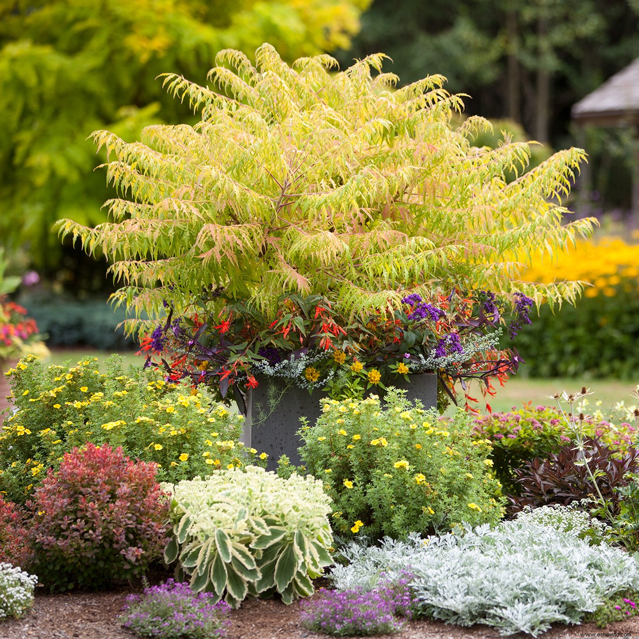 5 secretos para un hermoso paisaje del ganador de 2019 del concurso Americas Best Front Yard 