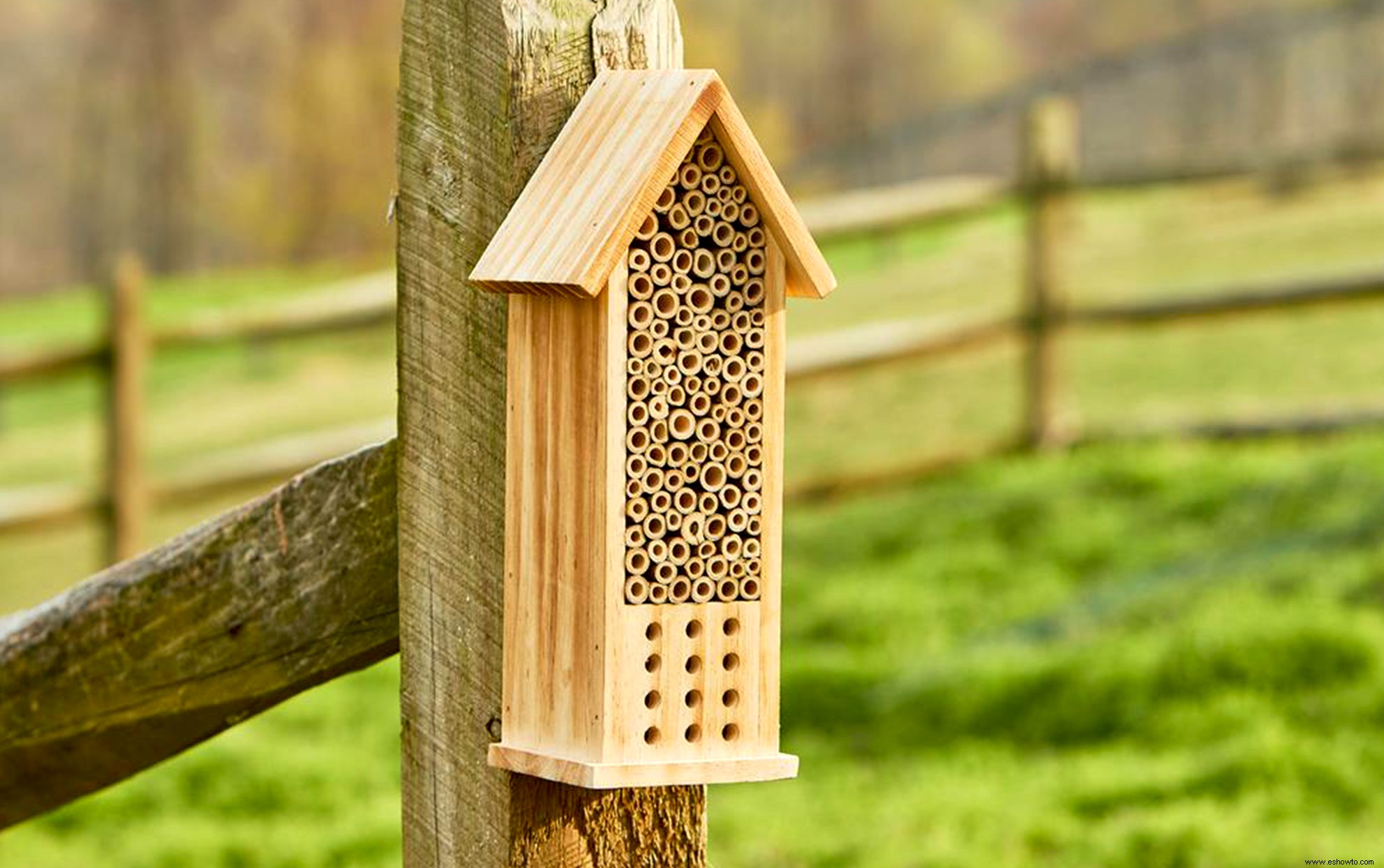 Una casa de abejas pertenece a su jardín ahora mismo:así es como se limpia 