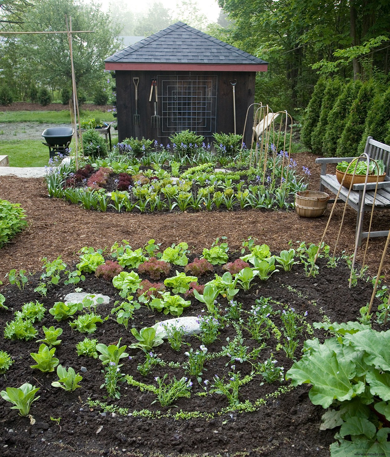 Los Jardines de la Victoria están de vuelta:he aquí por qué querrá comenzar uno lo antes posible 