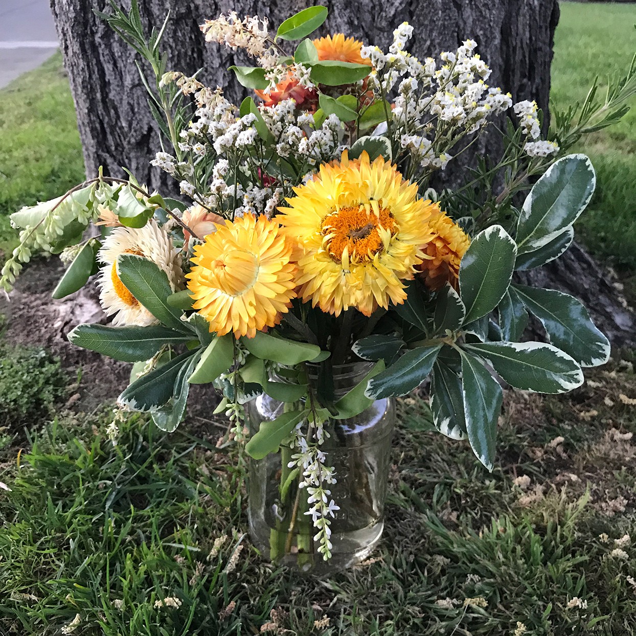 Los intercambios de flores de este maestro alegran a los vecinos durante la pandemia 