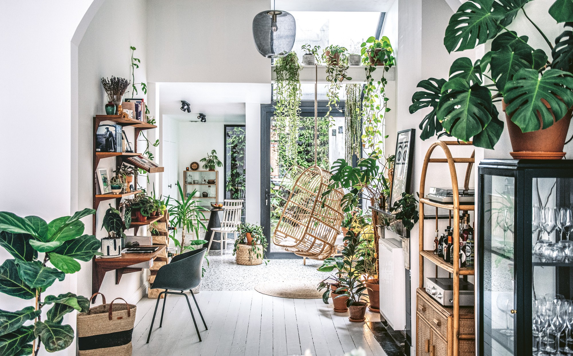 6 consejos de expertos para decorar con plantas de interior en cada habitación de tu hogar 