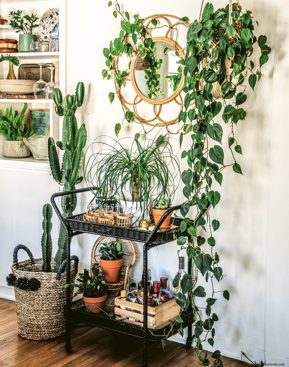 6 consejos de expertos para decorar con plantas de interior en cada habitación de tu hogar 