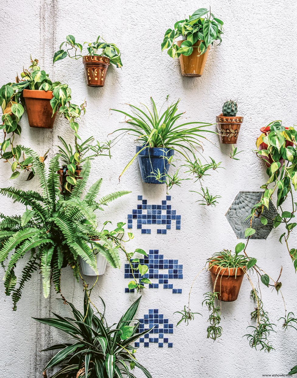 6 consejos de expertos para decorar con plantas de interior en cada habitación de tu hogar 