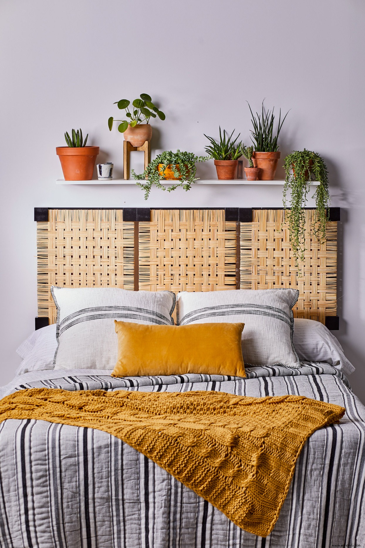 6 consejos de expertos para decorar con plantas de interior en cada habitación de tu hogar 