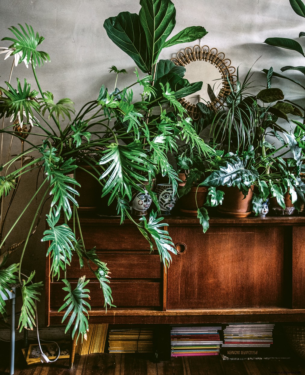 6 consejos de expertos para decorar con plantas de interior en cada habitación de tu hogar 