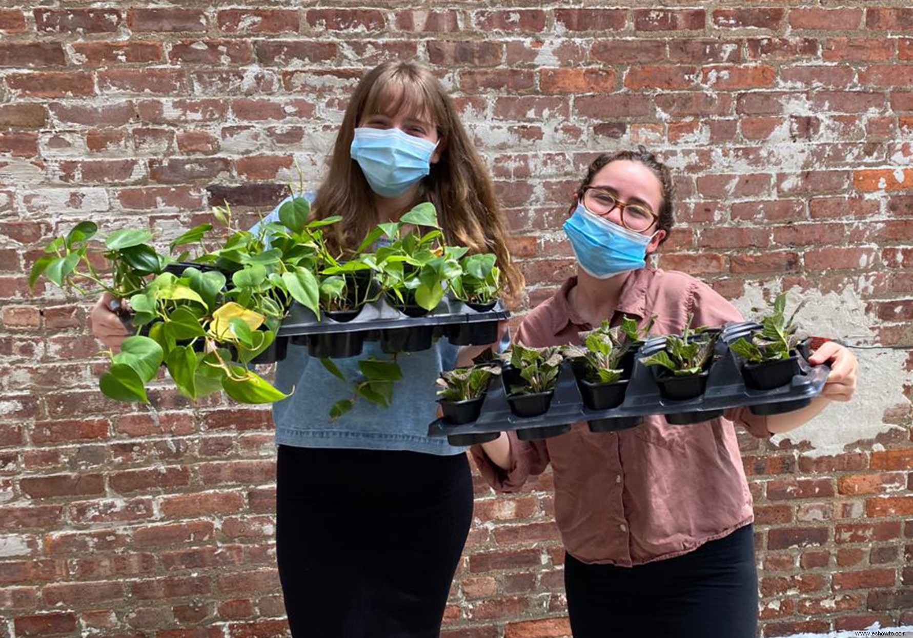 Estos dos amigos han donado más de 350 plantas a personas mayores aisladas durante la pandemia 