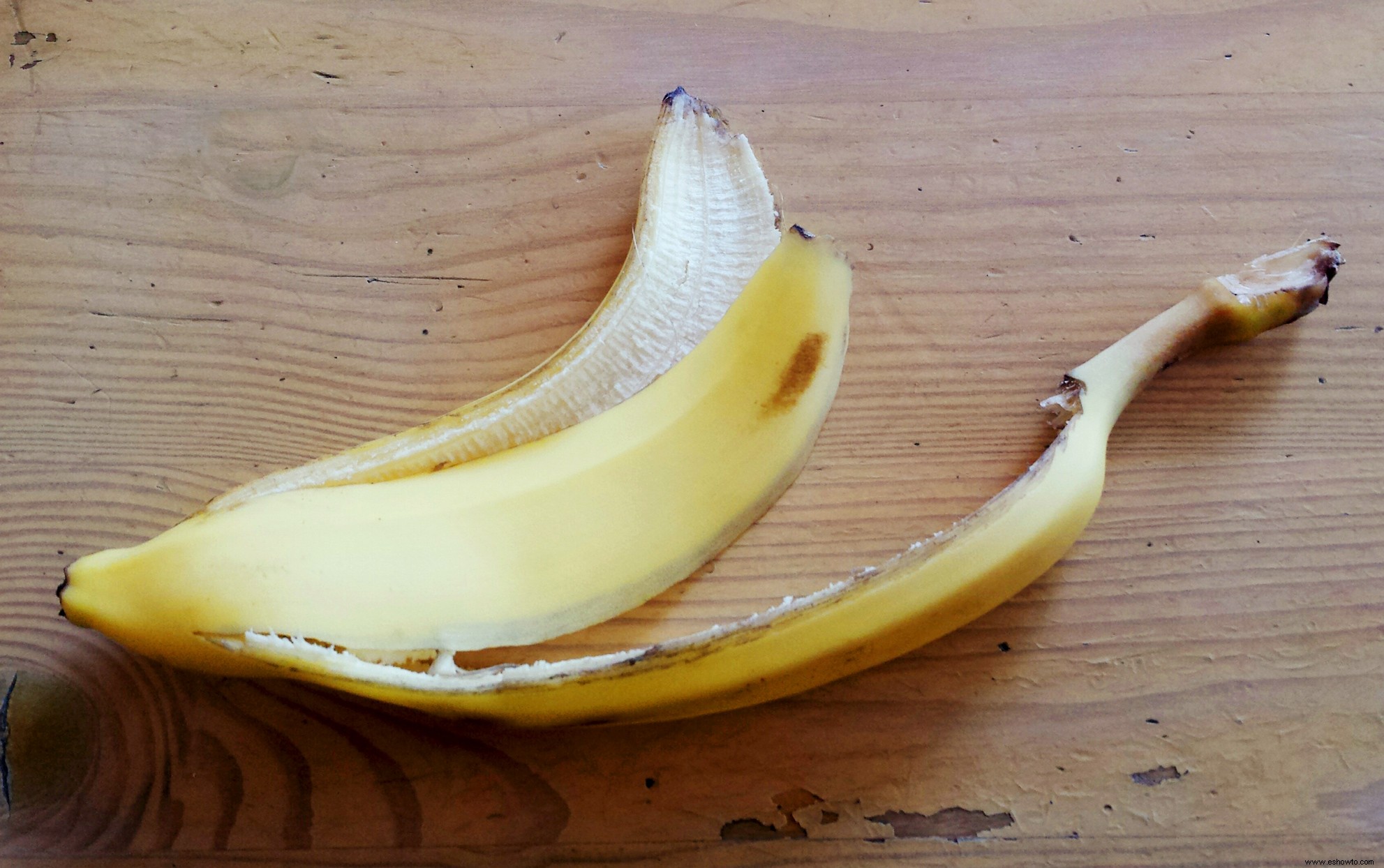¿Debería usar cáscaras de plátano como fertilizante para sus plantas de interior? 