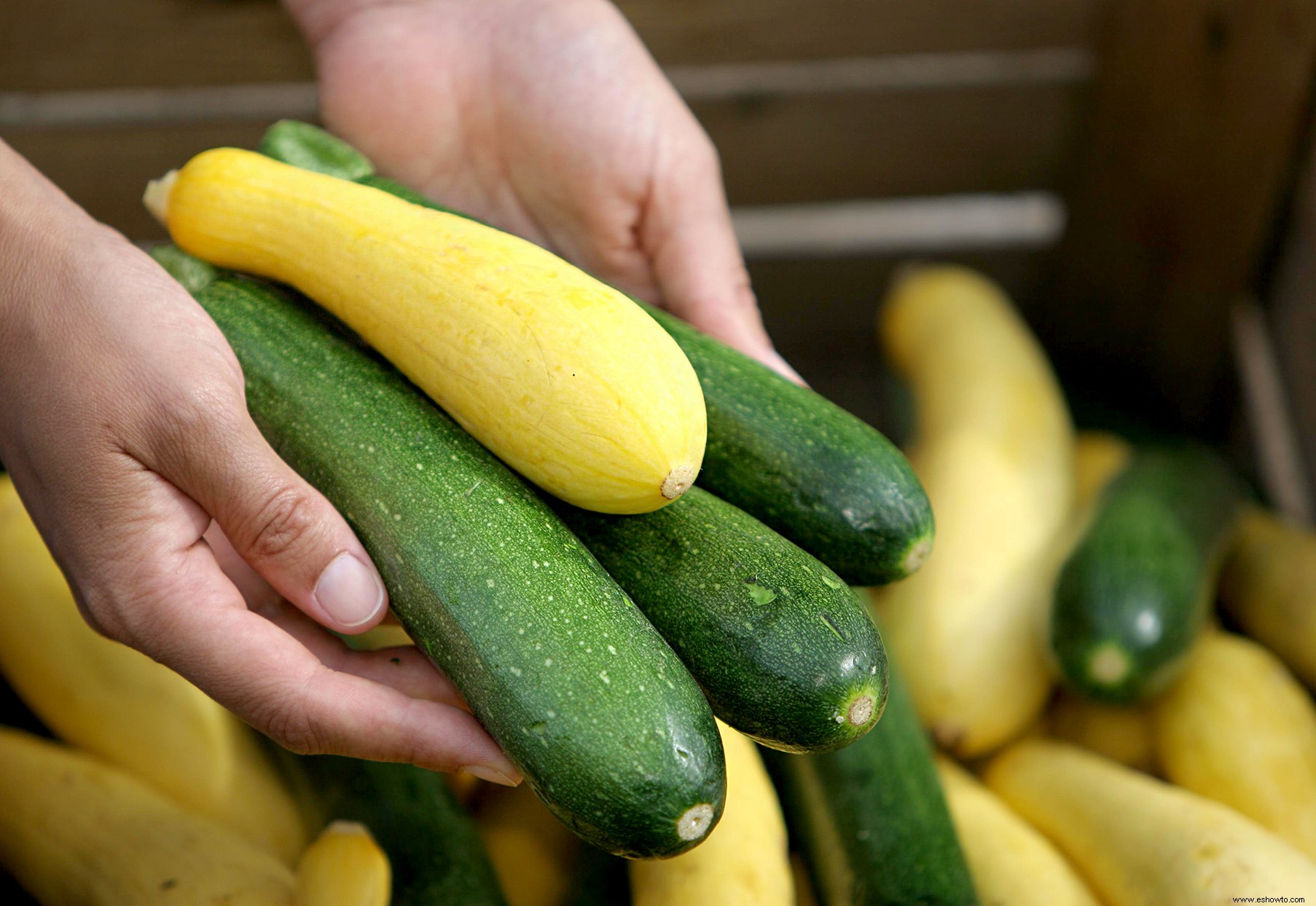 Prepárese para el Día Nacional de Colar Calabacines en el Porche de sus Vecinos 