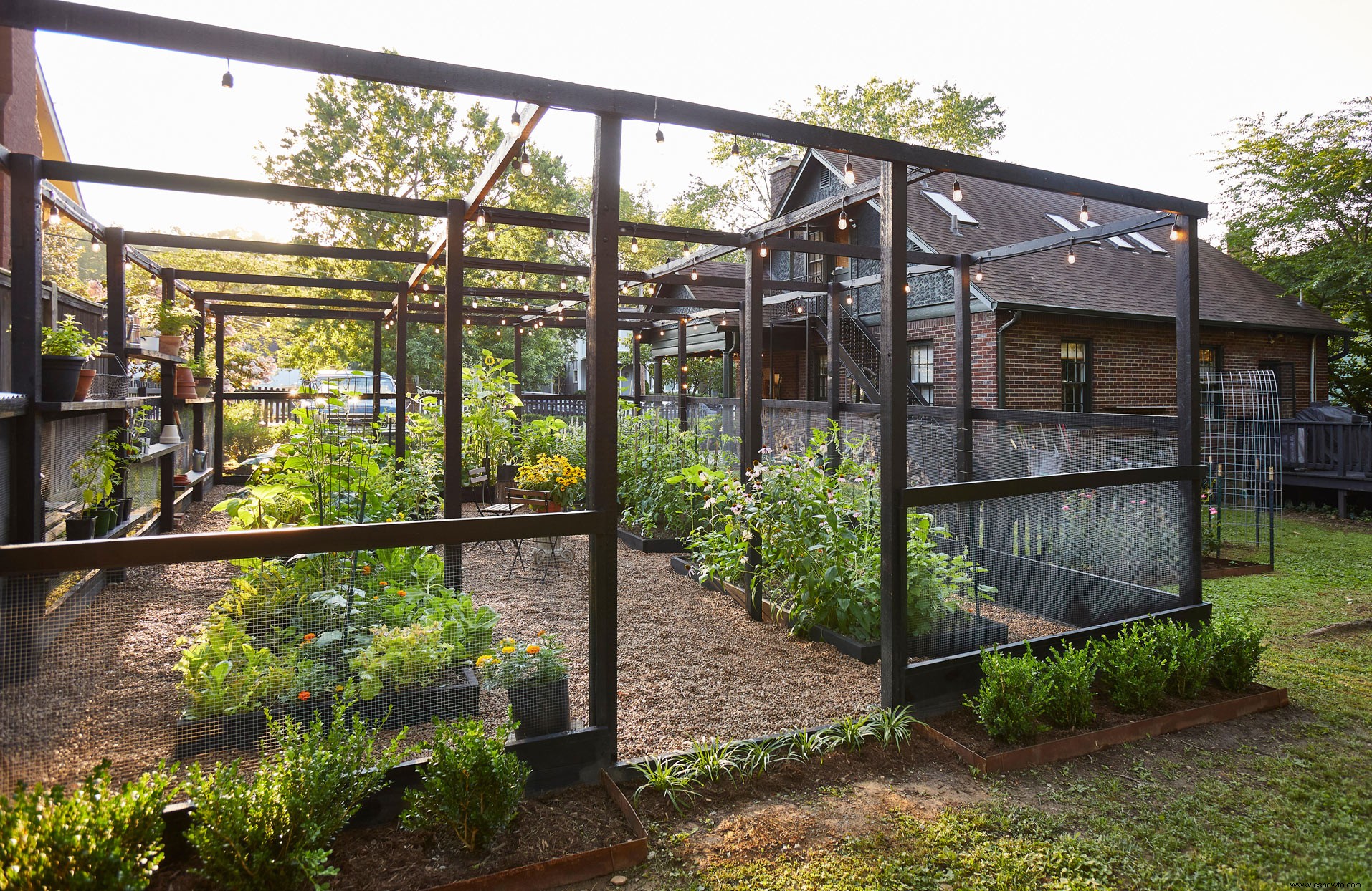 Consejos de Veggie Garden para principiantes para crear un espacio de cultivo productivo 