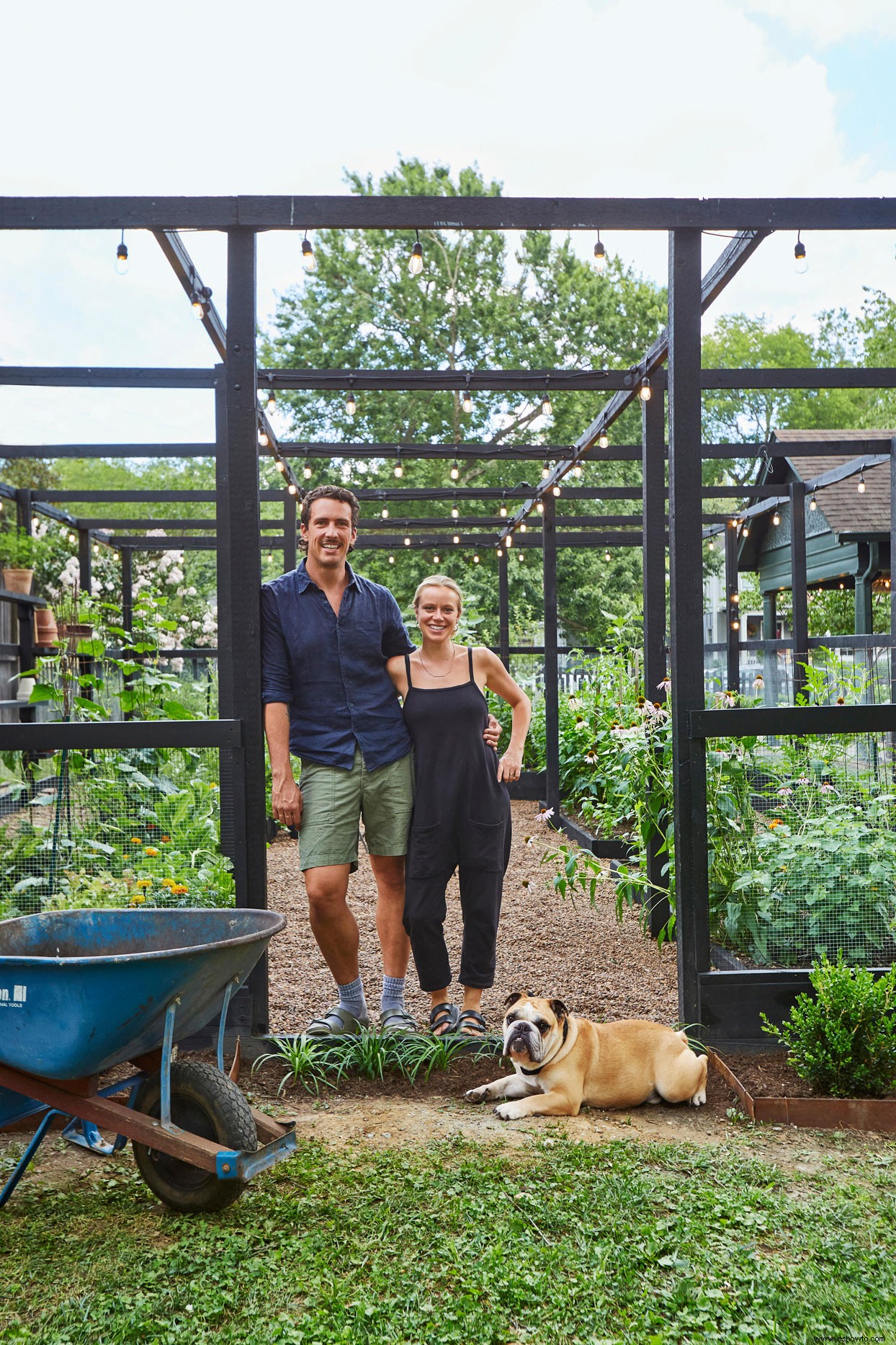 Consejos de Veggie Garden para principiantes para crear un espacio de cultivo productivo 
