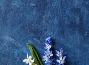 9 bulbos miniatura para un estallido de color primaveral temprano en tu jardín