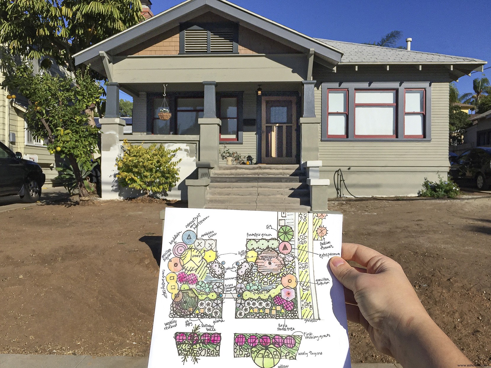 Diario de un jardinero primerizo:Abordar un cambio de imagen en el patio delantero 