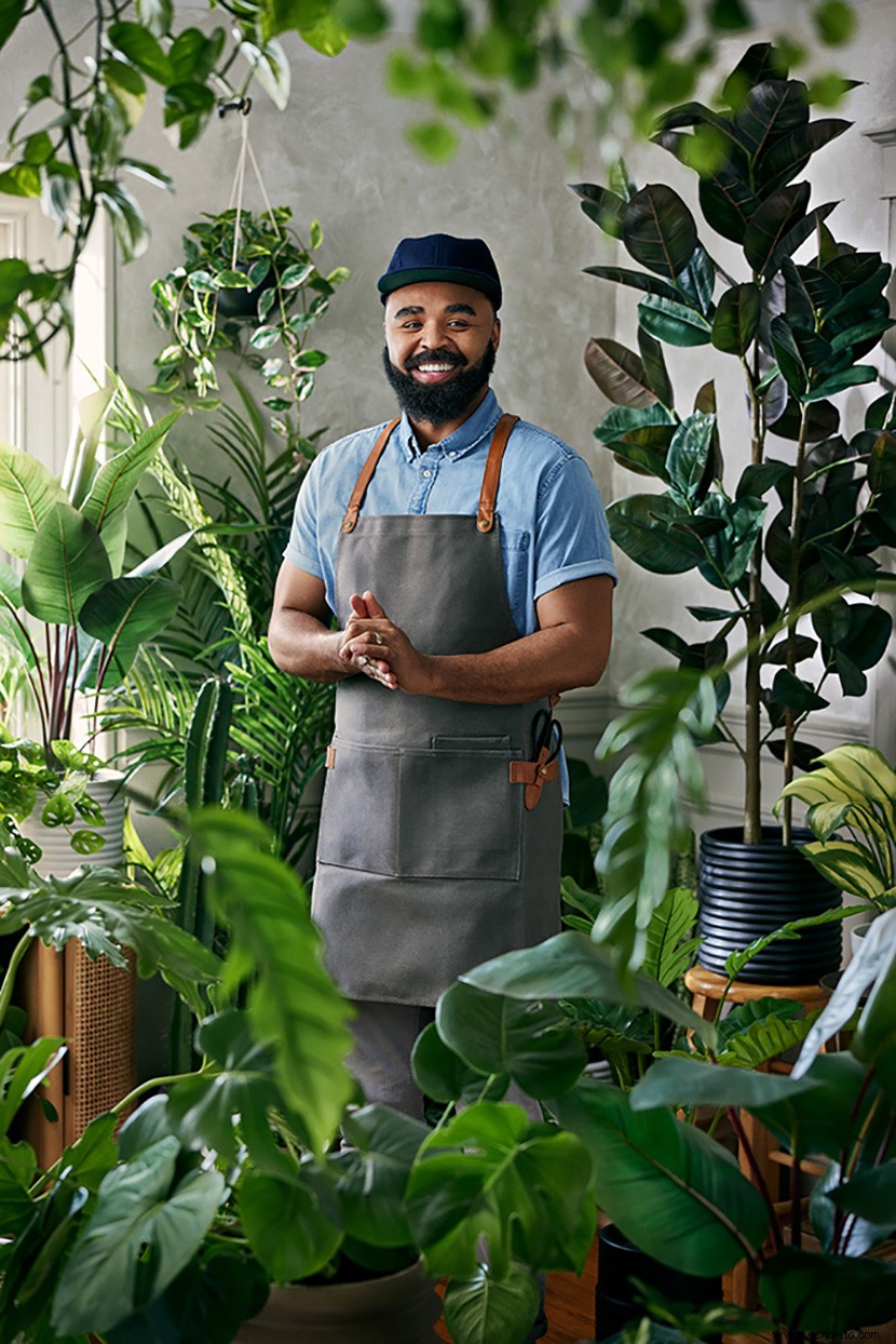 La nueva colección de plantas de Hilton Carters en Target está aquí para ayudar a que su hogar prospere 