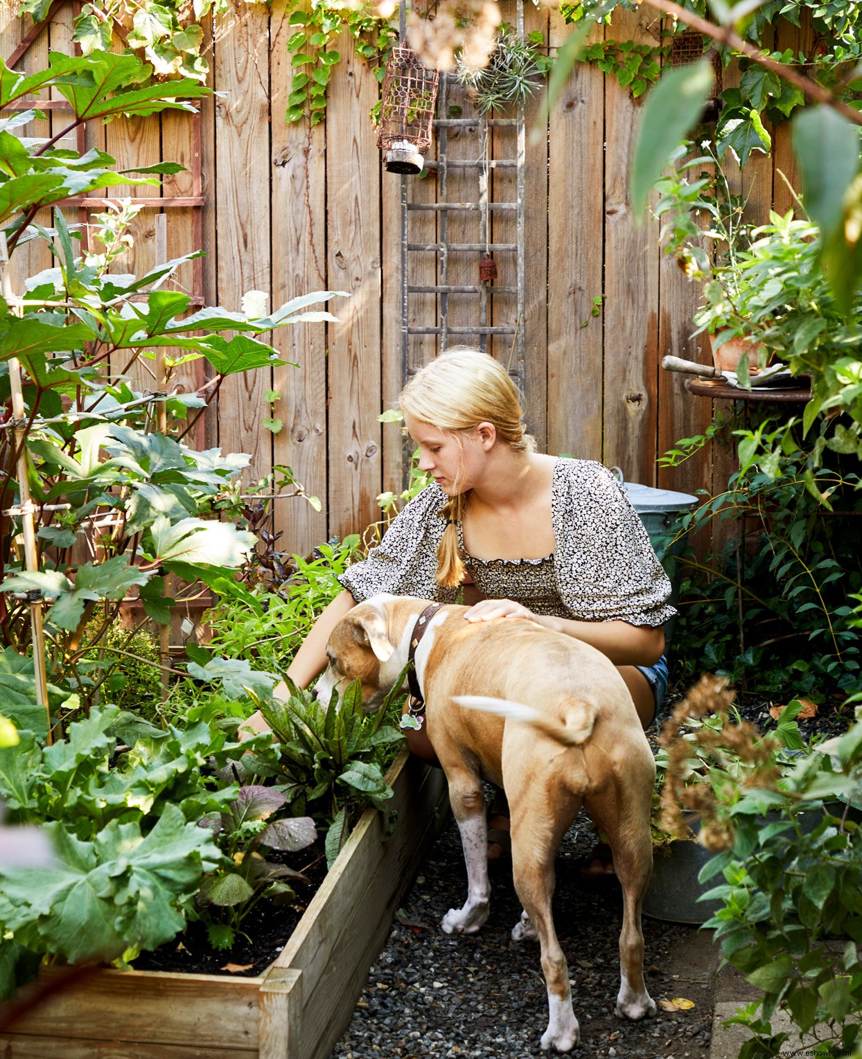 La fotógrafa Dana Gallagher alimenta tanto el cuerpo como el alma en su pequeño patio trasero de Brooklyn 