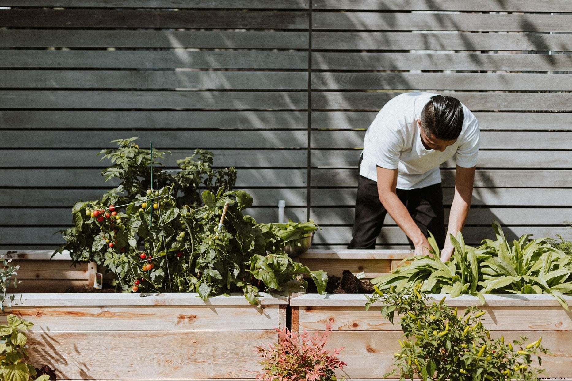 Aumente sus habilidades de jardinería este fin de semana con la ayuda de docenas de expertos en un festival de jardinería virtual 