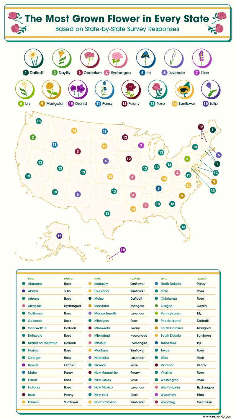 Una nueva encuesta revela las flores más populares cultivadas en cada estado 