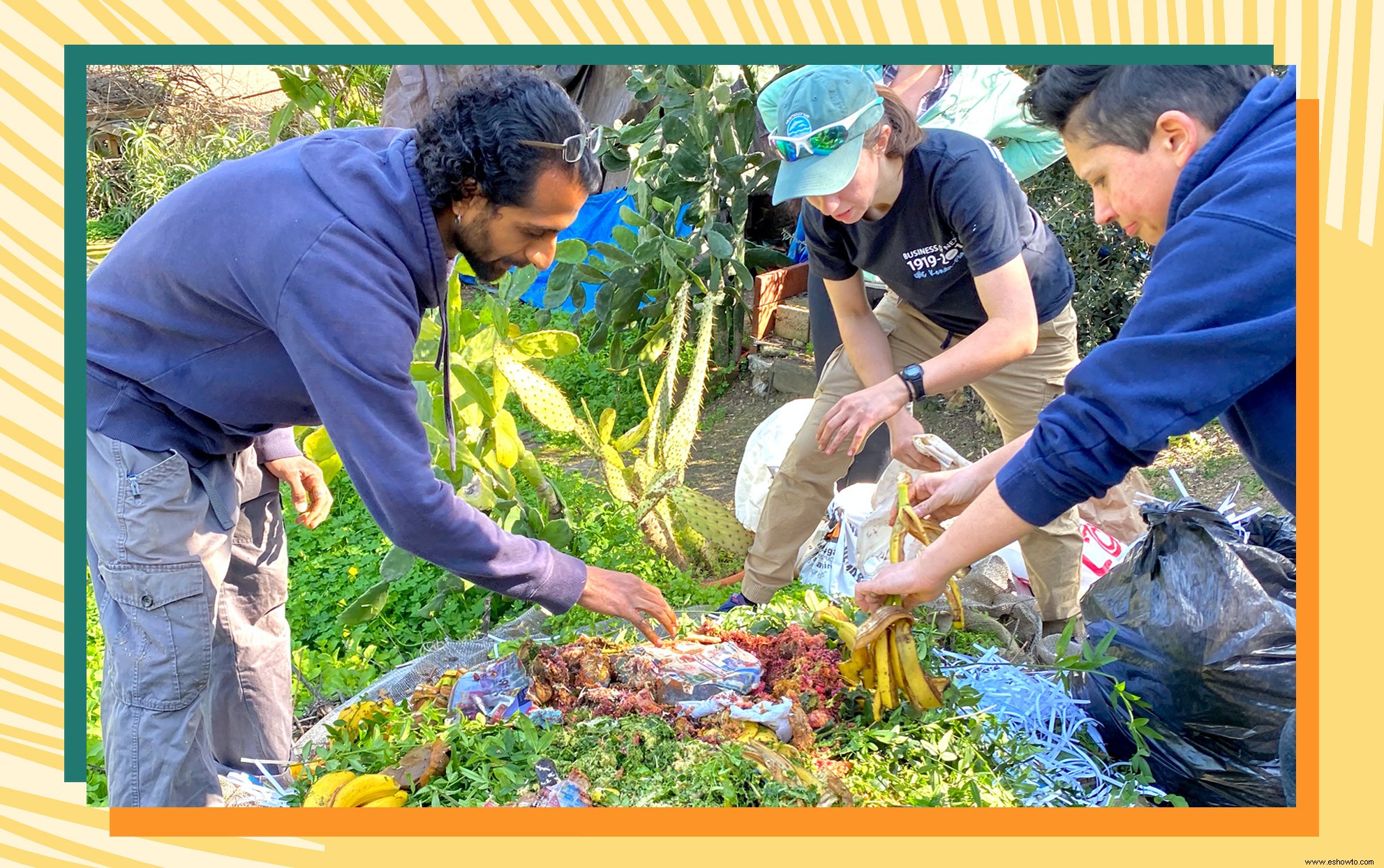 Terreno común:cómo los jardines nos brindan el espacio para encontrar consuelo, esperanza y curación 