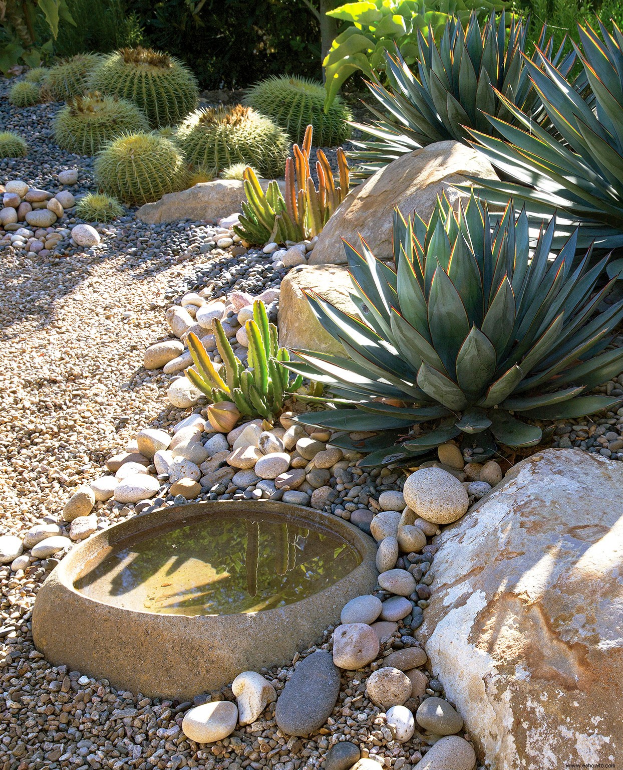 Este jardín de grava tolerante a la sequía es tan hermoso como un paisaje repleto de plantas 