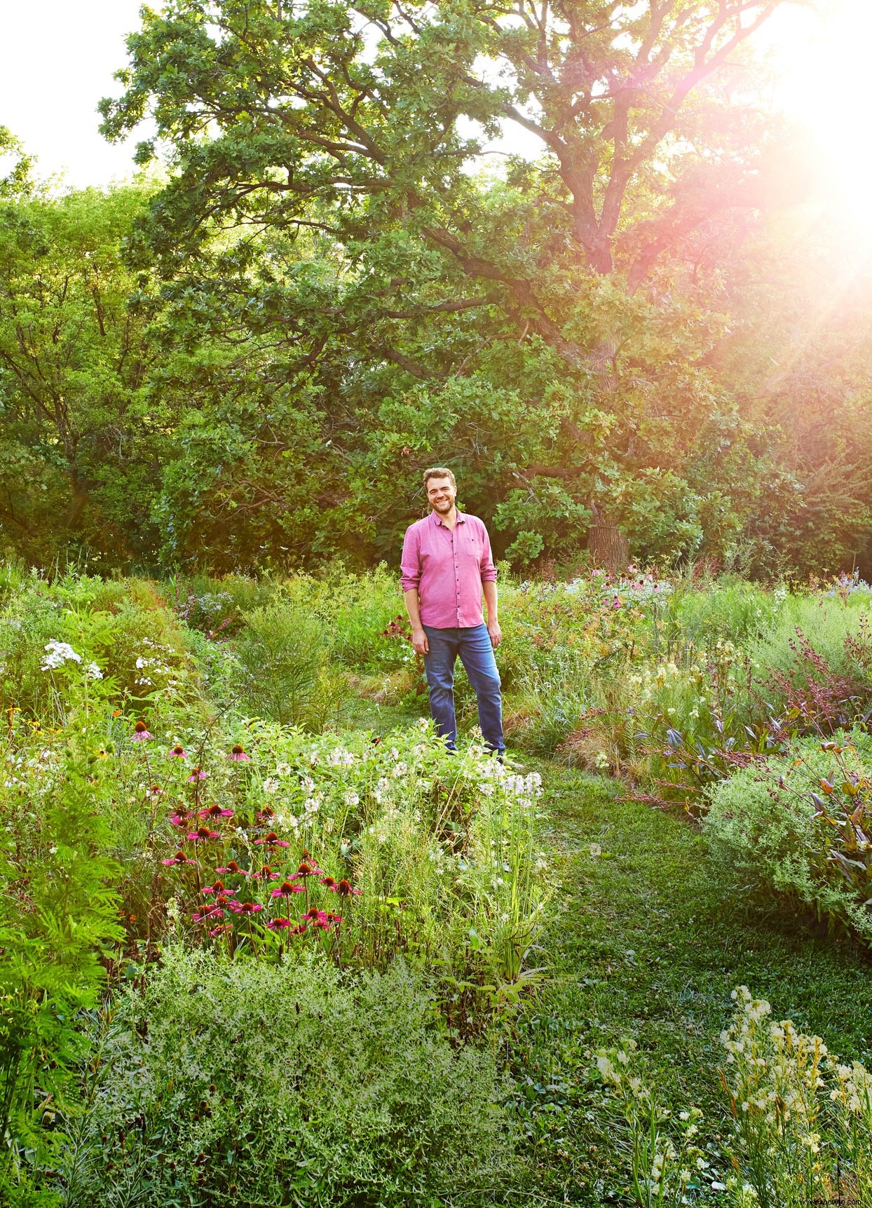 Este impresionante jardín de la pradera del patio delantero casi no requiere mantenimiento 