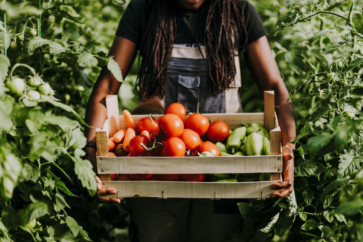 Convertirse en una fuerza para el bien:Cultivar sus propios alimentos cambia las comunidades para mejor y ahorra dinero 