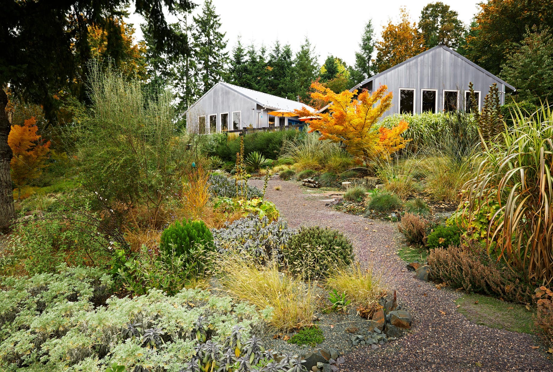 The Gardens Golden Season:cómo lograr un final de otoño fabuloso 