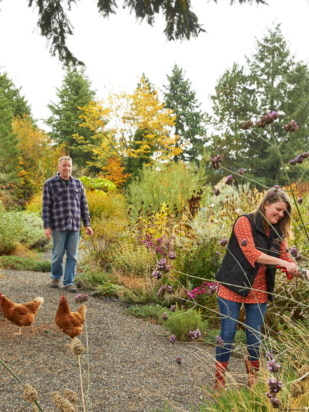 The Gardens Golden Season:cómo lograr un final de otoño fabuloso 