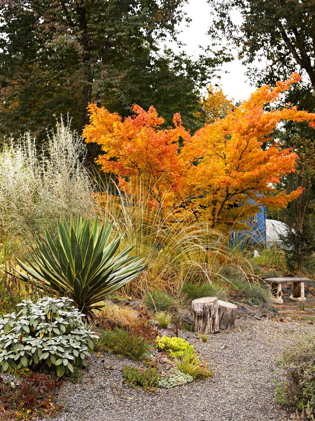 The Gardens Golden Season:cómo lograr un final de otoño fabuloso 