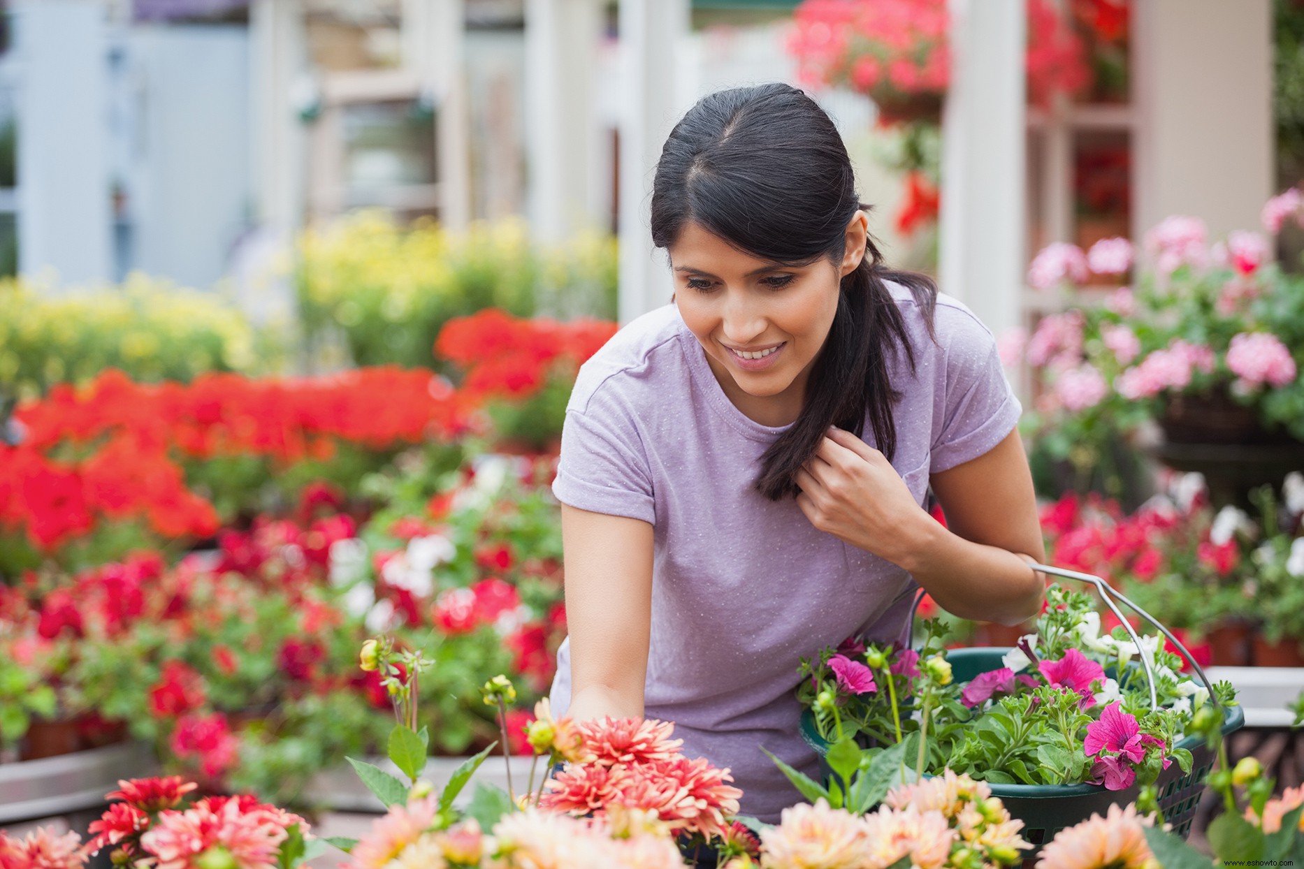 10 formas inteligentes de ahorrar dinero al comprar plantas 